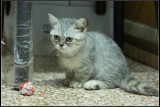 DSC04430.jpg