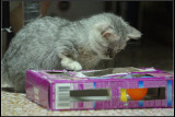 DSC04476.jpg