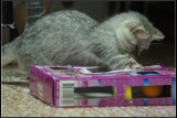 DSC04479.jpg