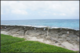 DSC06914.jpg