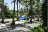 DSC07005.jpg