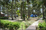 DSC07006.jpg