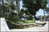 DSC07009.jpg