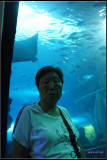 DSC07053.jpg