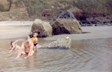 EPSON980_Copy.jpg