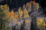 D4D_9477SonoraPassCropA1.jpg