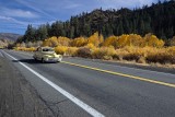 D4D_9541HiWay395Sierra1.jpg