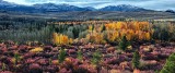 D4D_9663Hwy395SierraFallCropC1.jpg