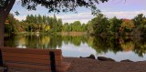 D4E_0020WWardparkFallCropA1.jpg