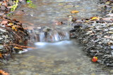 WE3_7483.JPG