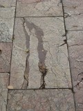 dont step on the cracks 1