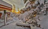 winter-wonderland-magic-garden-Sweden.jpg