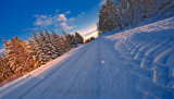 The winter road in late sun
