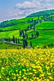 Monticchiello road Tuscany