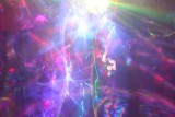 IMG_9884 I_d into.jpg