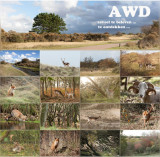 Amsterdamse Waterleidingsduinen 