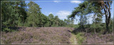 panorama4748-4750kopie.jpg