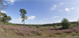 panorama4757-4760kopie.jpg