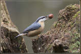 IMG_5972kopie.jpg