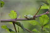 _MG_9159kopie.jpg
