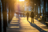 Late zon aan de Dijver