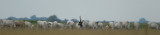 2013-06-12 hotobahy rund.jpg
