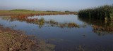 2014-09-15 flevoland 2.jpg