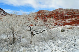 Desert Snow Storm