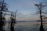 Reelfoot Lake