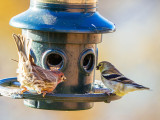 w-P1000333-2.jpg