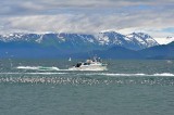Kachemak Bay Alaska