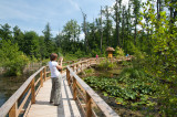 A tatai Fényes Tanösvény - The Fényes Nature Trail in Tata