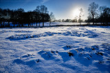 Snow at Kedleston, Derbyshire