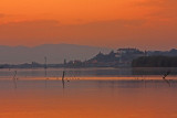 Lake Ptuj_MG_0851-111.jpg