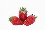 Strawberries jagode_MG_2101-111.jpg