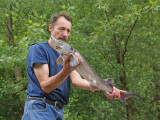 Fisherman with sterlet Acipenser ruthenus ribič s kečigo_MG_0059-111.jpg