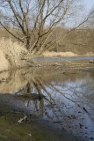 River Mura_MG_7774.jpg