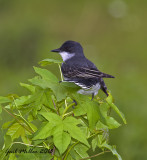 20130507_1566.jpg