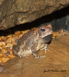 20130601_2457.jpg