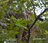 20130612_3075.jpg
