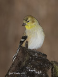 20131206_6134.jpg
