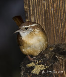 20131206_6340.jpg