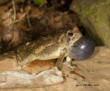 20140510_8658.jpg