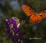 20130904_9288.jpg