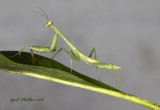 20140728_1358.jpg