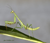 20140728_1360.jpg
