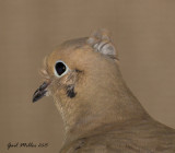 _H6F9848.jpg