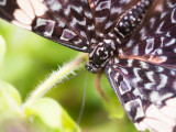 JS120511.jpg