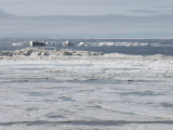 Barrow