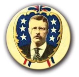 Teddy Roosevelt Button